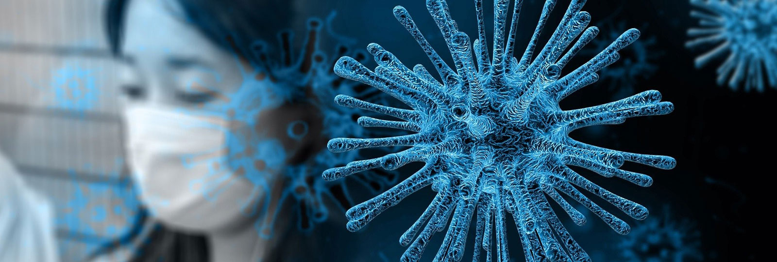 Corona Virus